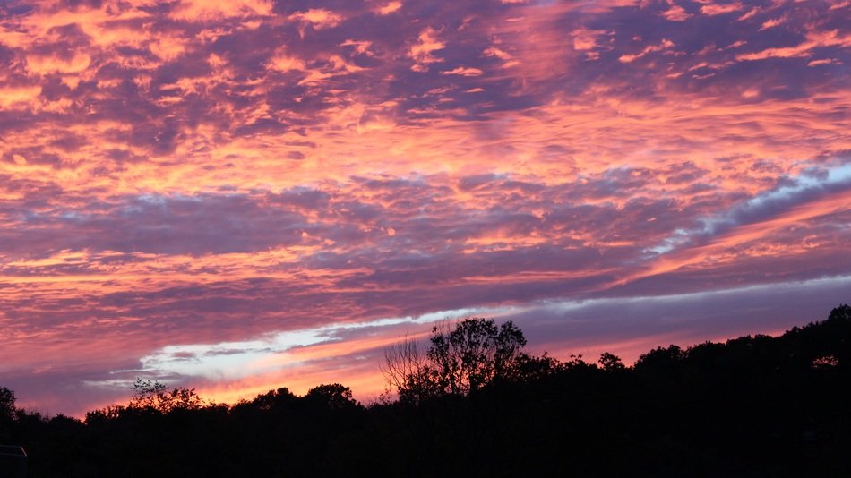 pink and blue sunset sky above dark forest