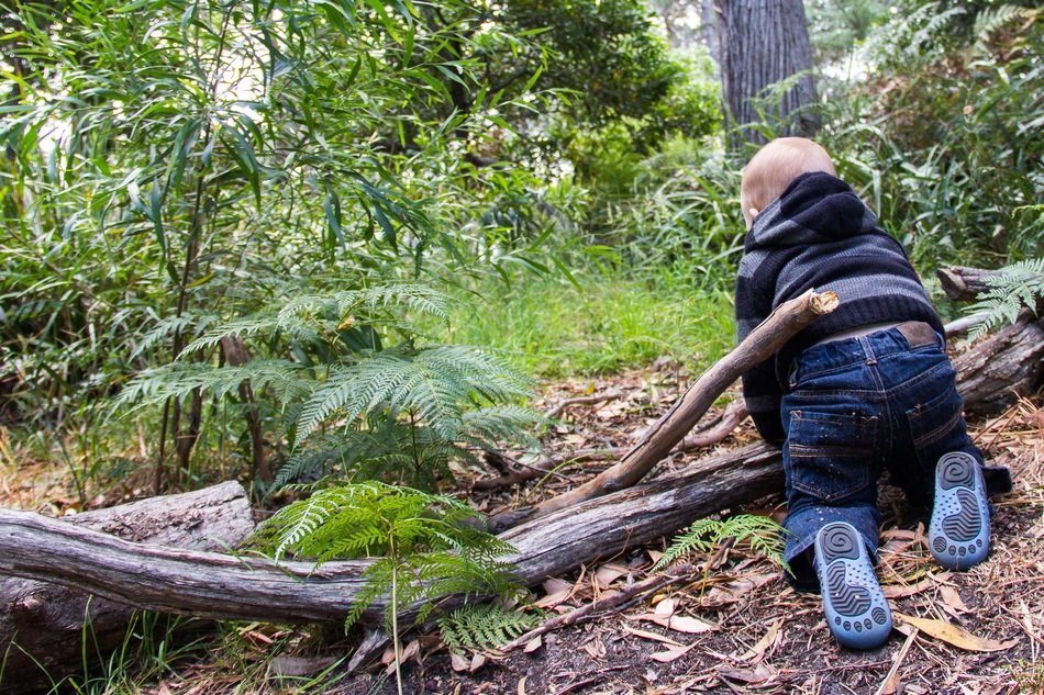 boy is crawling in the forest