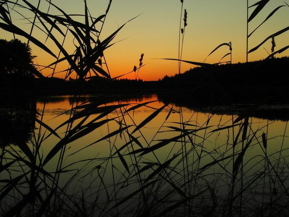 landscape of lake bank at sunset
