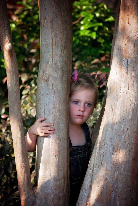 little girl looks out from behind a tree