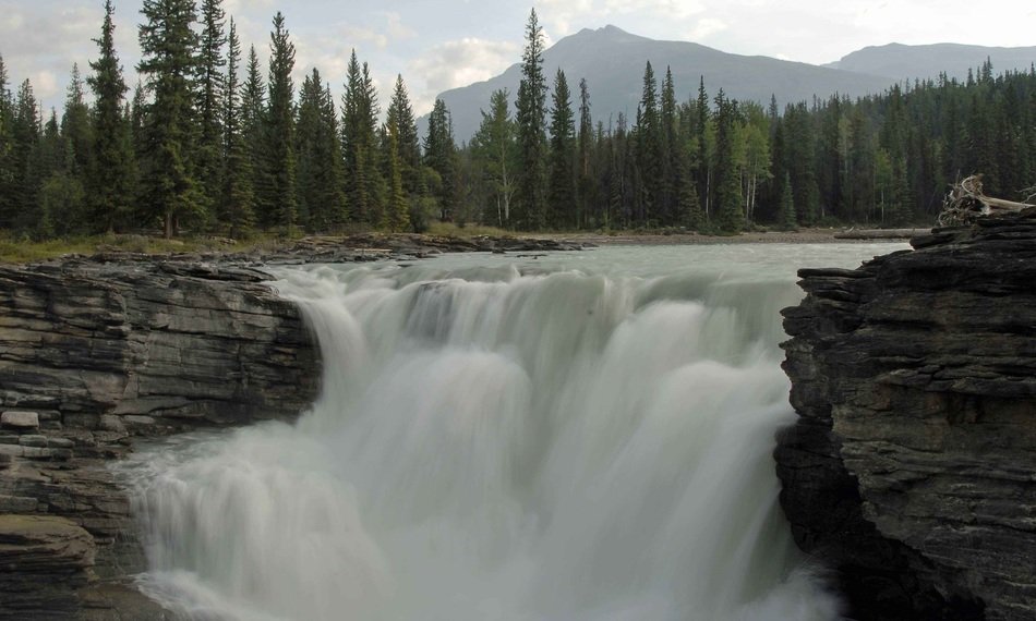 beautiful and delightful waterfall landscape with the trees on the shore