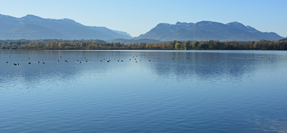 landscape of of wildlife in Bavaria