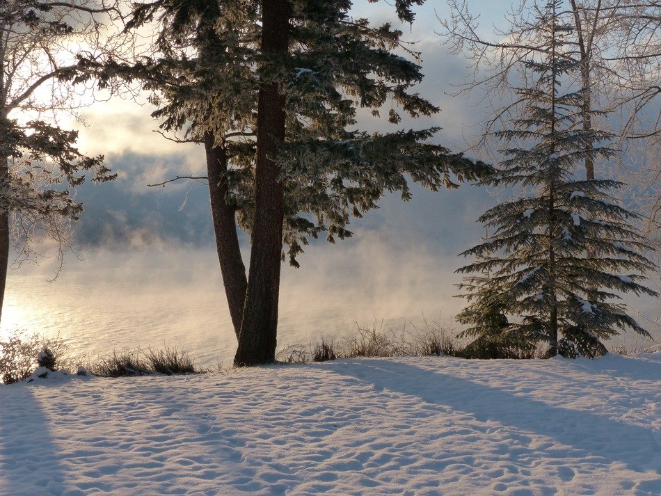 foggy sunrise over canim lake in winter