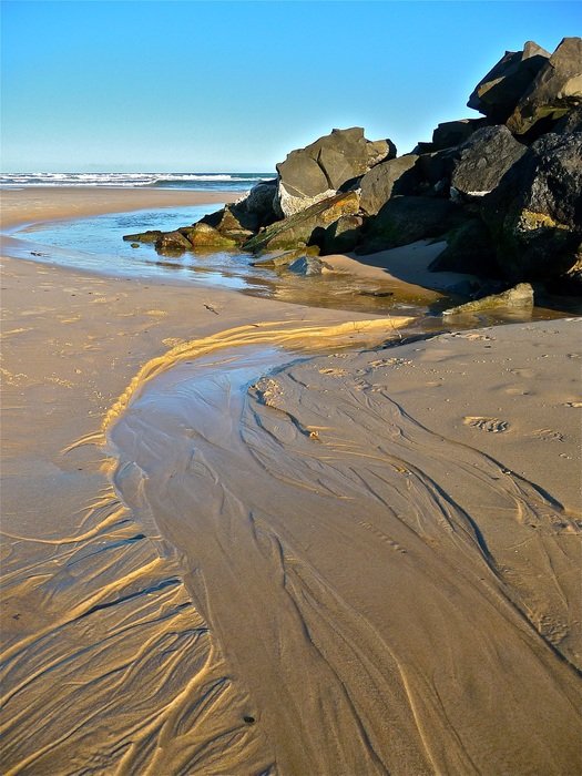 landscape of rocks on the sandy coast