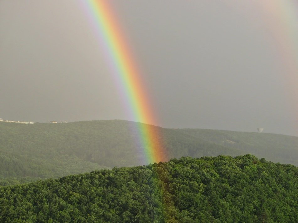 rainbow over green trees on the mountain