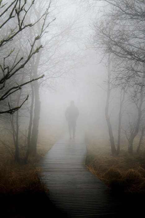 landscape of man among the trees in the fog