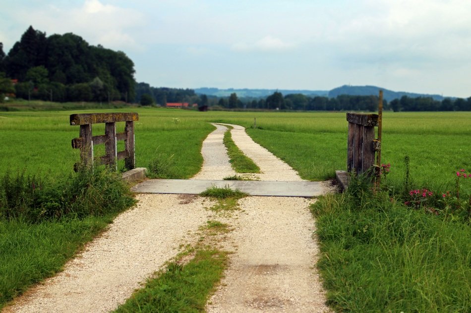 country road through a wooden bridge