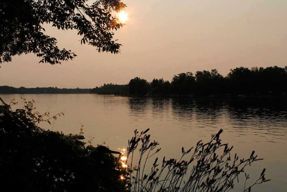 Landscape of the sunset over the water