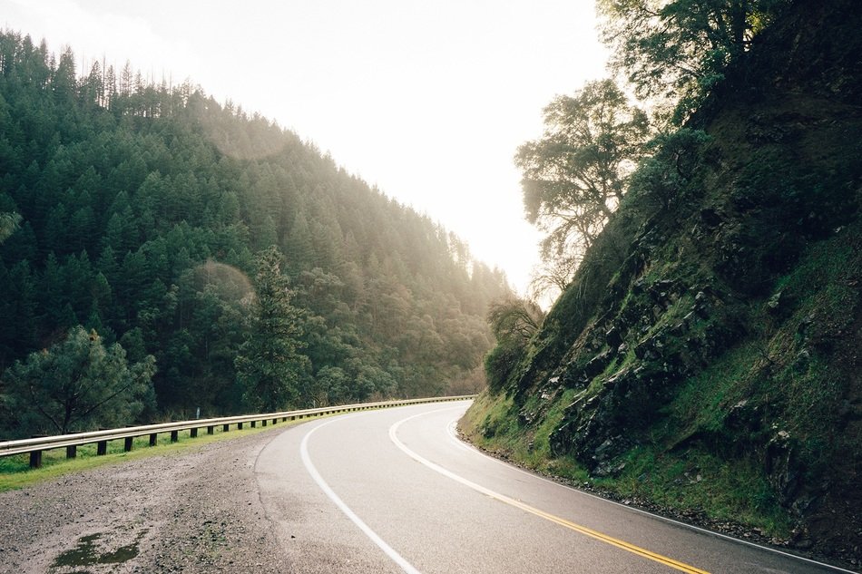lonely road in the forest