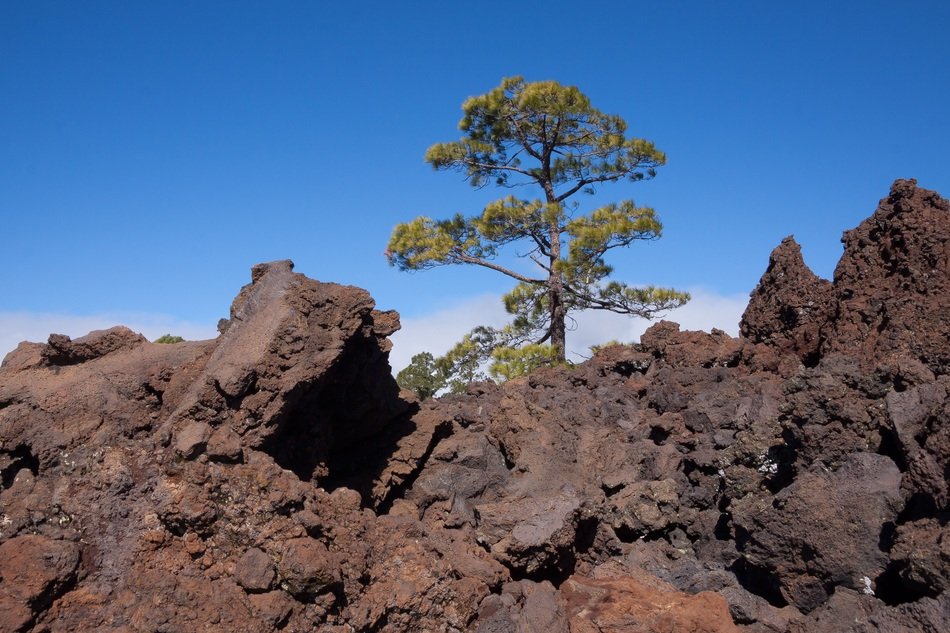 lava rock in the national park
