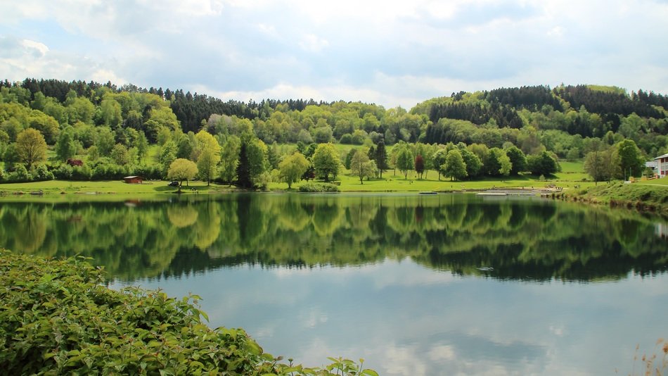 Beautiful and colorful nature near the lake