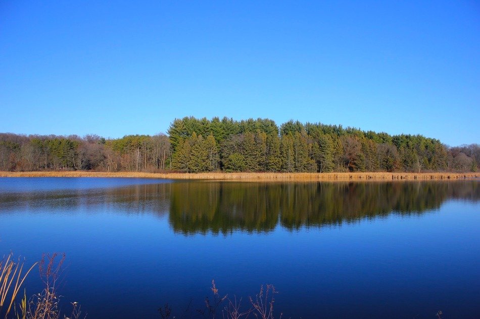 nature in wisconsin