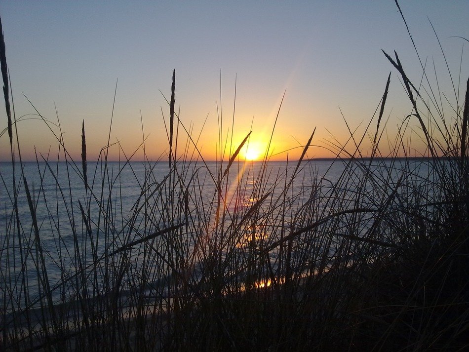 sunset through the grass on the Mediterranean