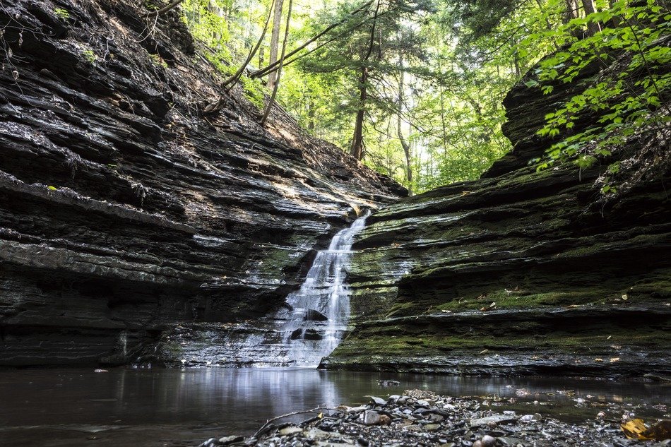 waterfall in stone pond forest view