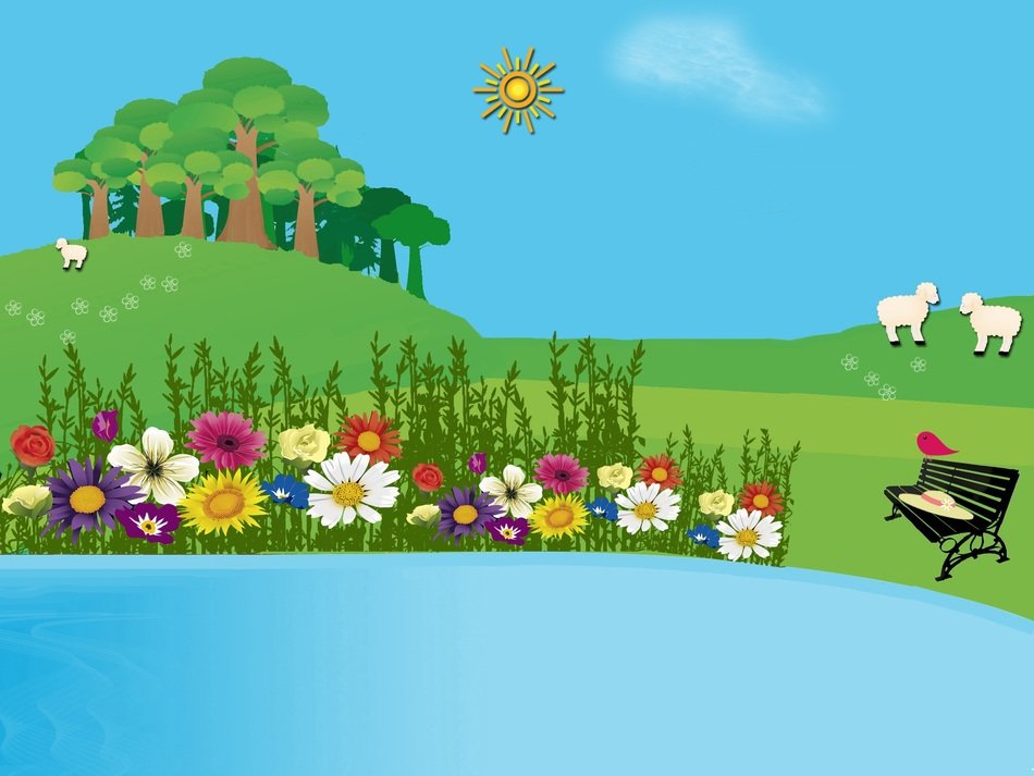 Picture of green field in summer