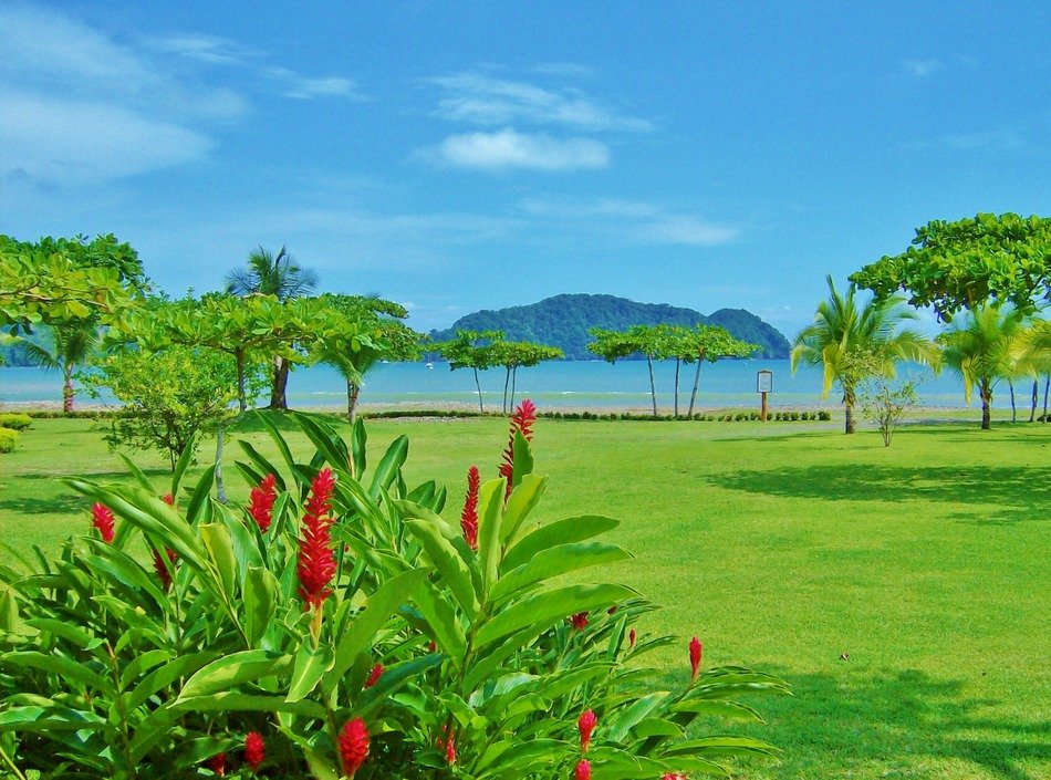 green tropical beach, costa rica