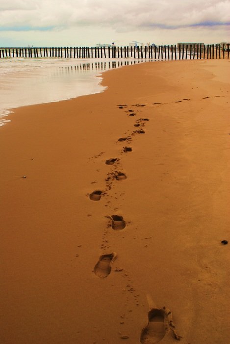 footprints on wet sand beach at water