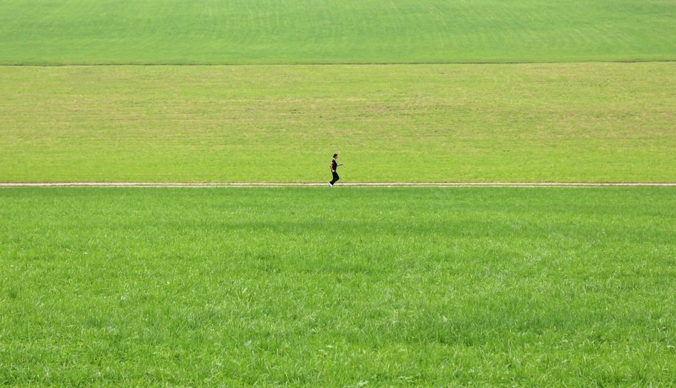 Jogging on the meadow