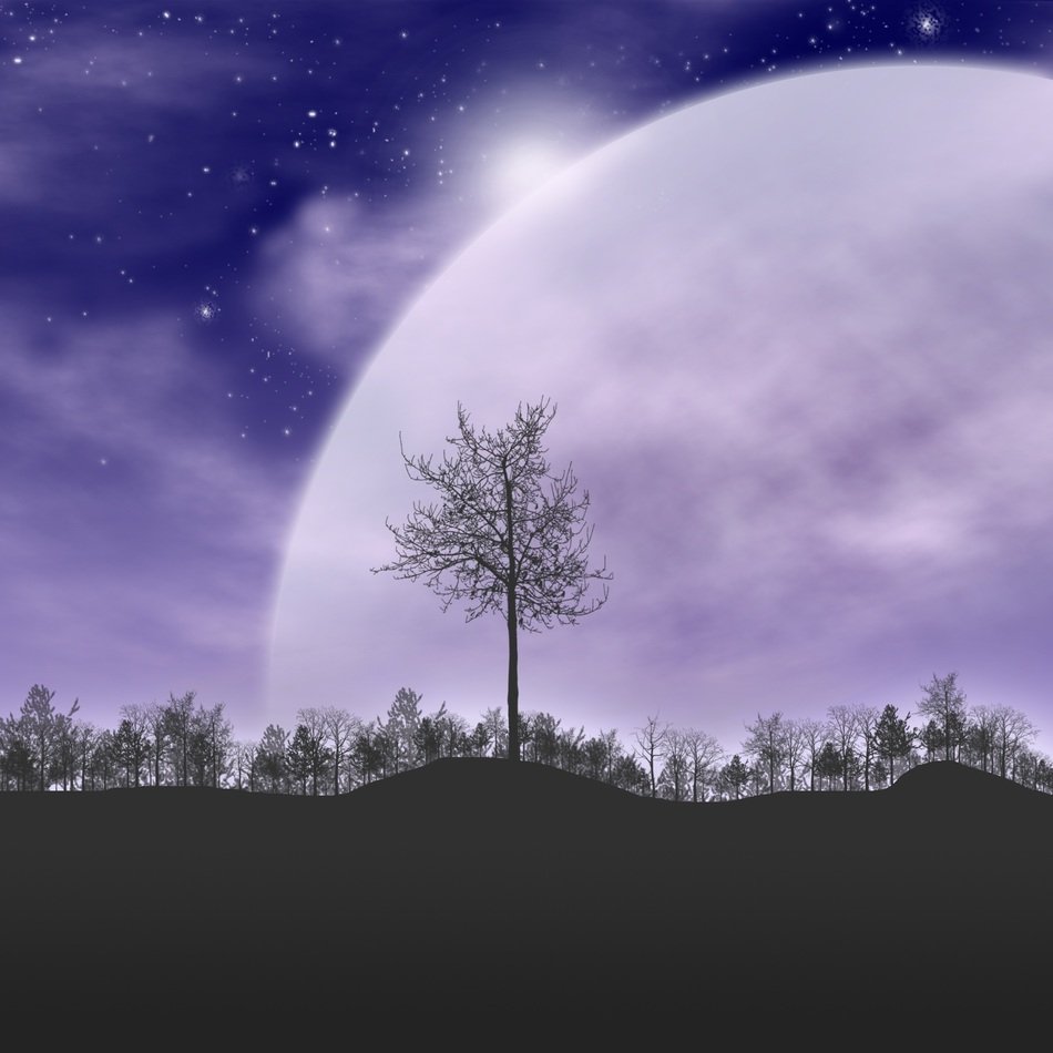 Tree on the moon background