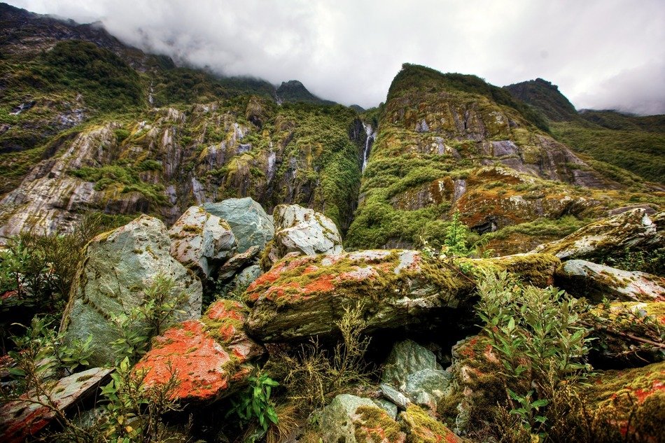 stones in the rainforest