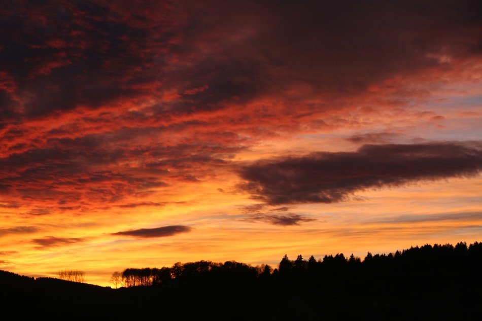 Beautiful sunset in the clouds on the forest