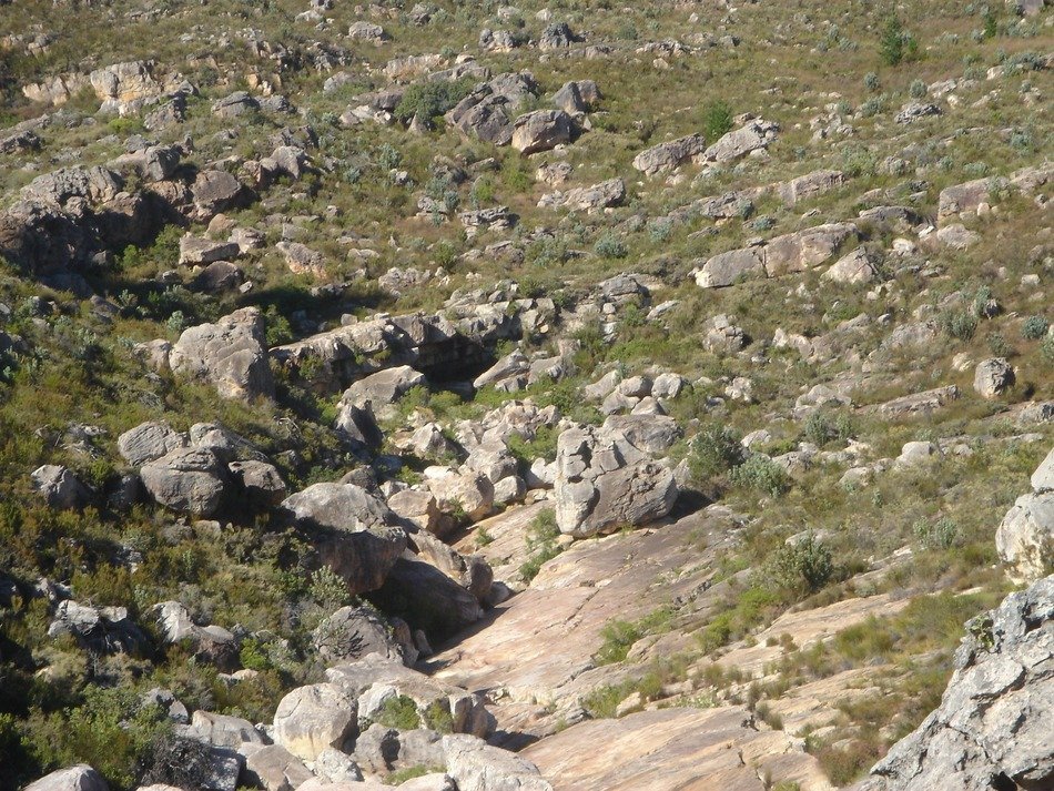 Skin formations on Earth
