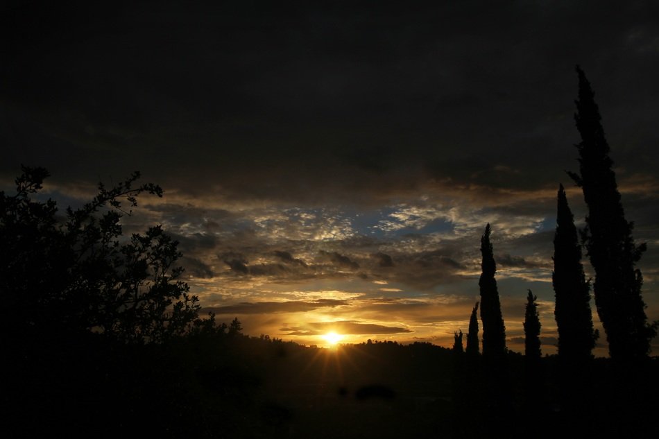 evening sunset in the countryside