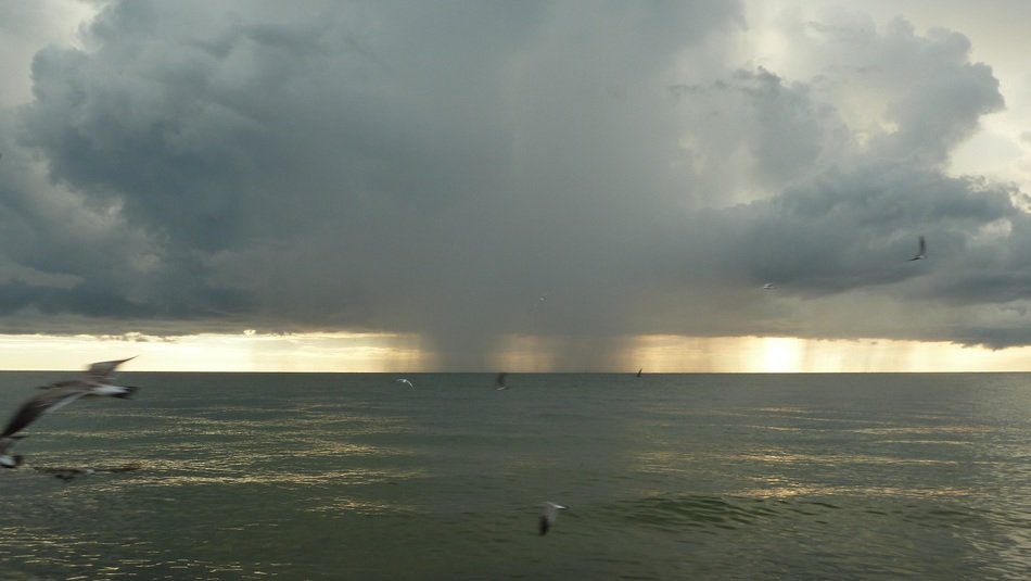 marine rain showers