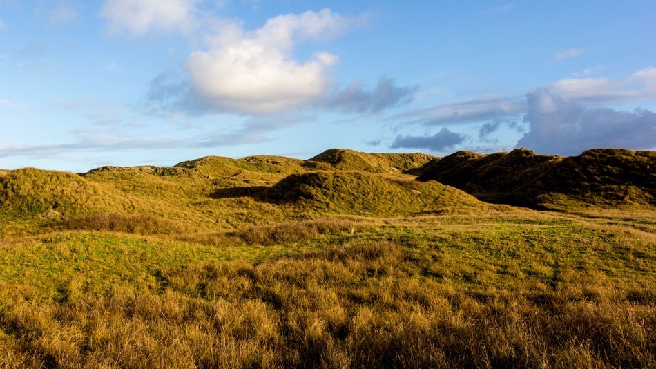 very beautiful dunes