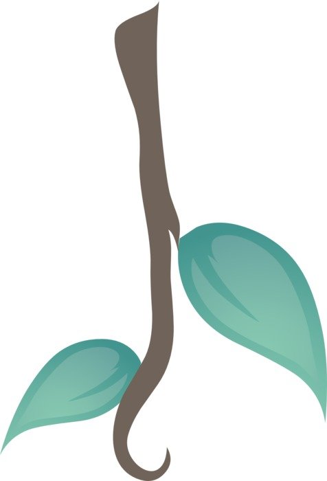 Graphics in the form of a tropical branch