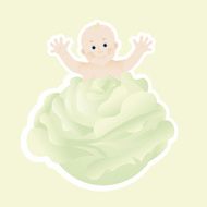 newborn baby from cabbage