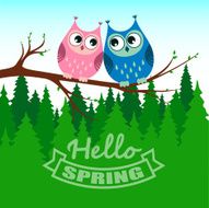 Hello spring