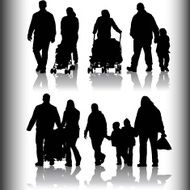 Family and Friends Shadow Series N20