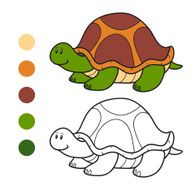 Coloring book (turtle)