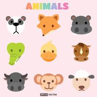 Animals head