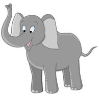 Elephant N16