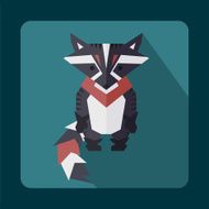 flat raccoon
