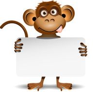 Monkey With A White Background