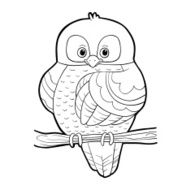 Coloring book (owl) N5