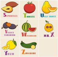 Alphabet &amp; Fruit Vector Set From S to Z Illustration