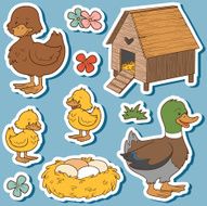 Color set of farm animals and objects vector family duck