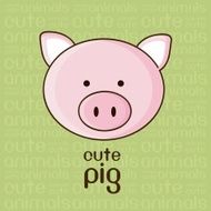 cute pig