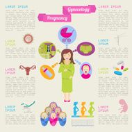 Gynecology and pregnancy infographic template Motherhood N14