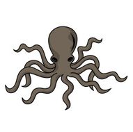 octopus N4