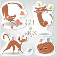 cute cat and birds