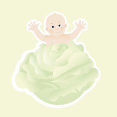 newborn baby from cabbage