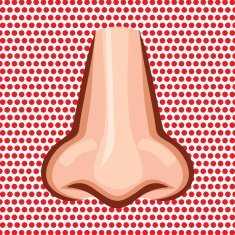 Children nose N3