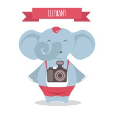 Elephant N15