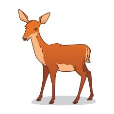 Doe illustration