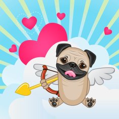 Cupid Pug Dog
